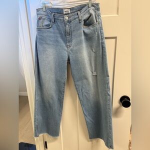 Women’s Hudson Rosalie Wide Leg Jeans, 31